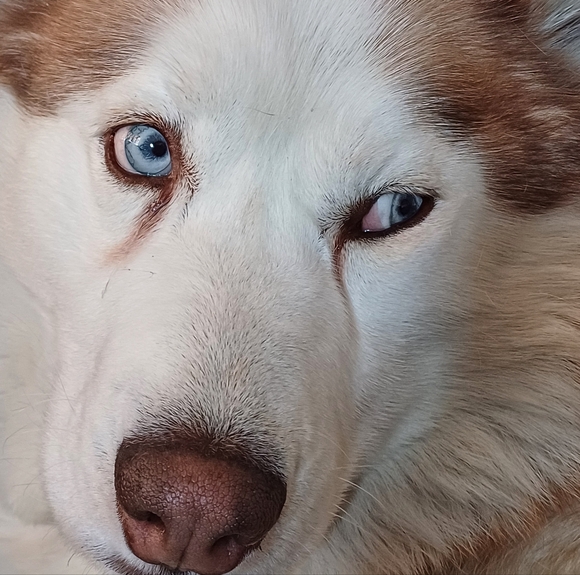 333 - Picture 1 of 1